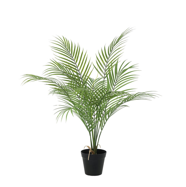 Kunst Kentia palm - 65cm