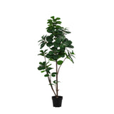 Product afbeelding 9