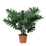 Product afbeelding 12