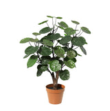 Product afbeelding 7