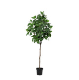 Product afbeelding 8
