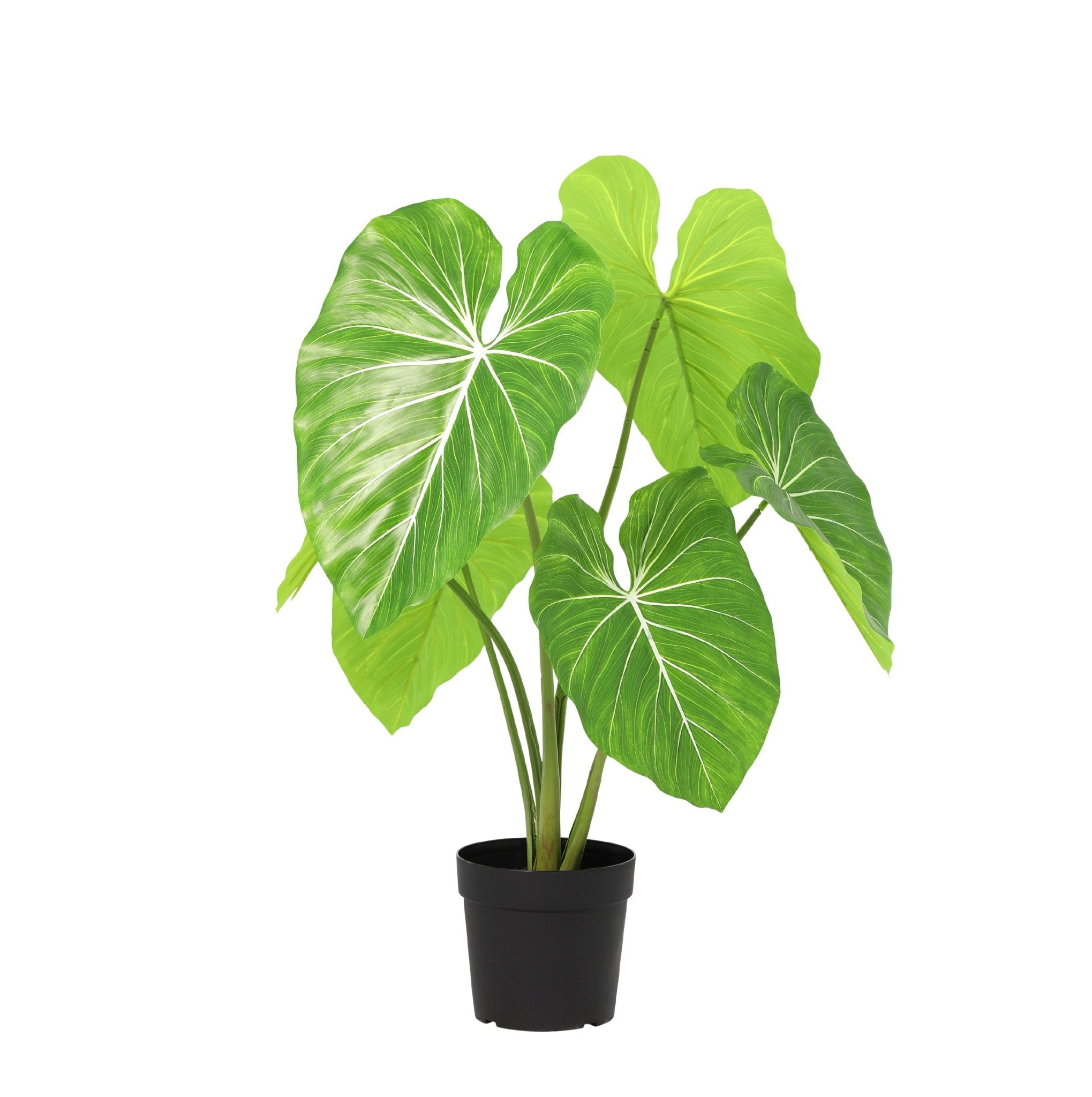 philodendron künstlich Kunstpflanze Philodendron - 100cm