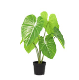 Product afbeelding 9