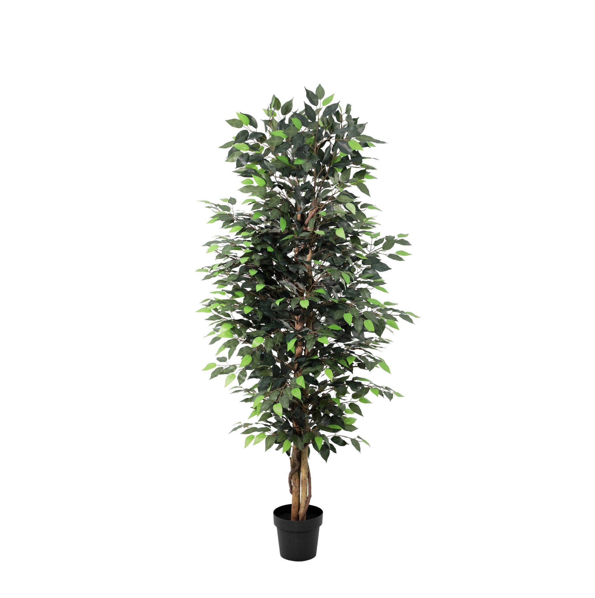 Kunstpflanze Ficus Benjamina 180 cm