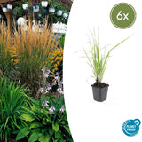 Product afbeelding 1