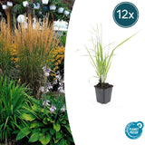 Product afbeelding 7