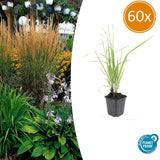 Product afbeelding 10