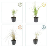 Product afbeelding 2