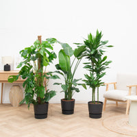 Kantoorpakket: Green Power