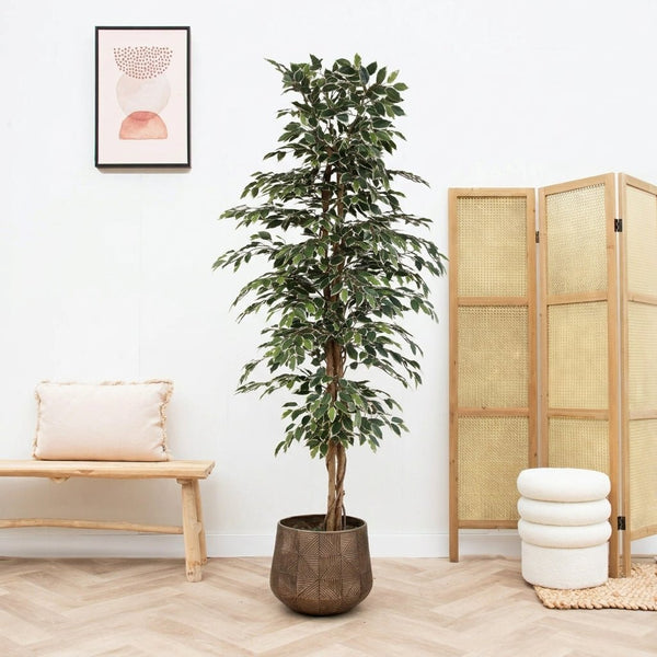 Grote FICUS LYRATA kunstplant kunstboom meerstammig 150cm Grote FICUS LYRATA kunstplant kunstboom meerstammig 150cm