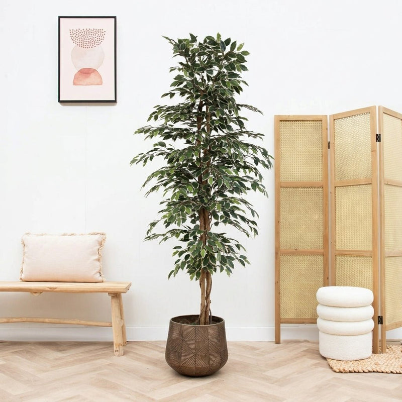 Künstlicher Ficus benjamina variegata