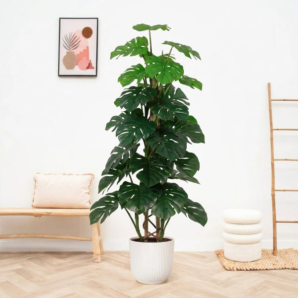 Kunst Monstera Monkey Leaf - 125cm