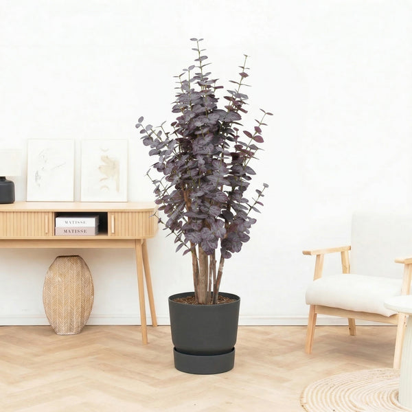 Kunst Eucalyptus purple - 120cm