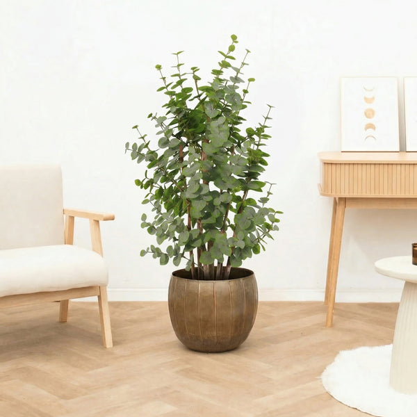 Kunst Eucalyptus green - 120cm