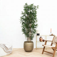 Kunst Bamboe - 210cm