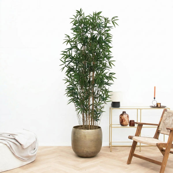 Kunst Bamboe - 210cm