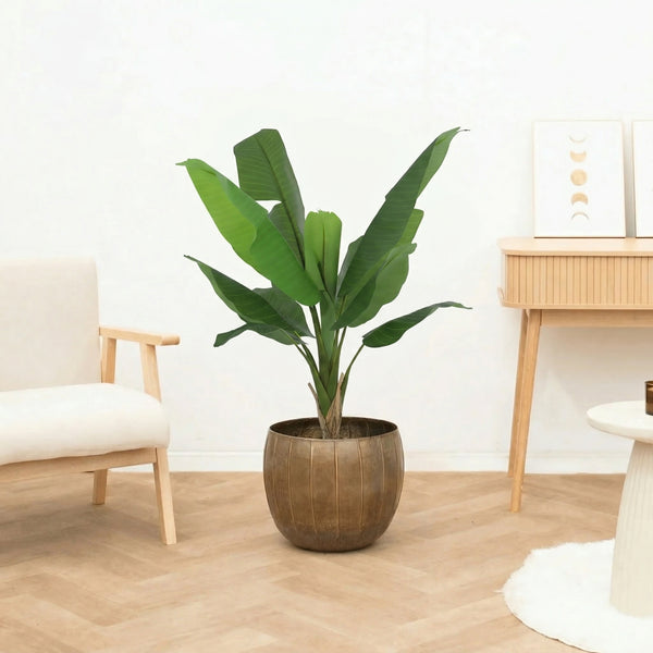 Kunst Bananenplant Musa - 120cm kopen bij Green Bubble