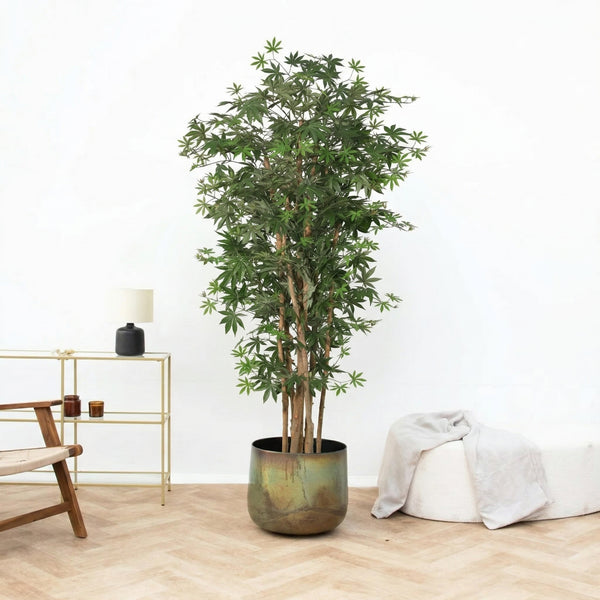 Kunstpflanze Acer palmatum - 180cm