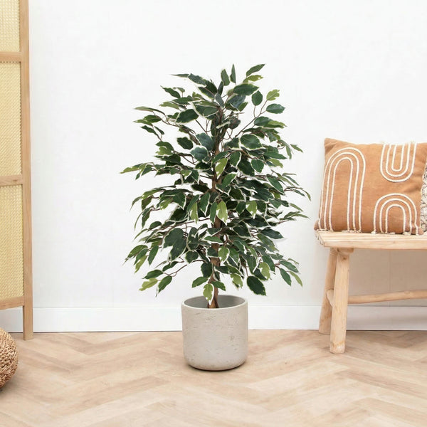 Kunst Ficus benjamina variegata - 85cm