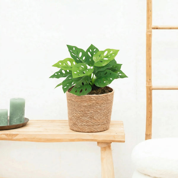 Kunst Monstera Monkey leaf - 22cm