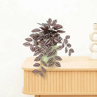 Kunst Tradescantia - 32cm