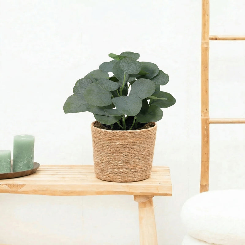 Kunstpflanze Eucalyptus | 21cm