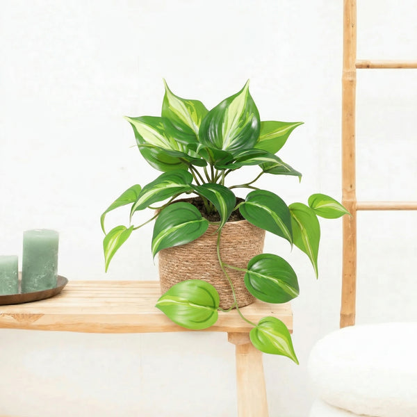 Kunst Epipremnum Variegata - 23cm
