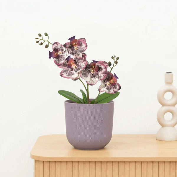 Kunst Phalaenopsis orchid purple - 41cm