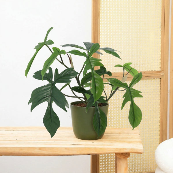 Kunst Philodendron Florida - 44cm