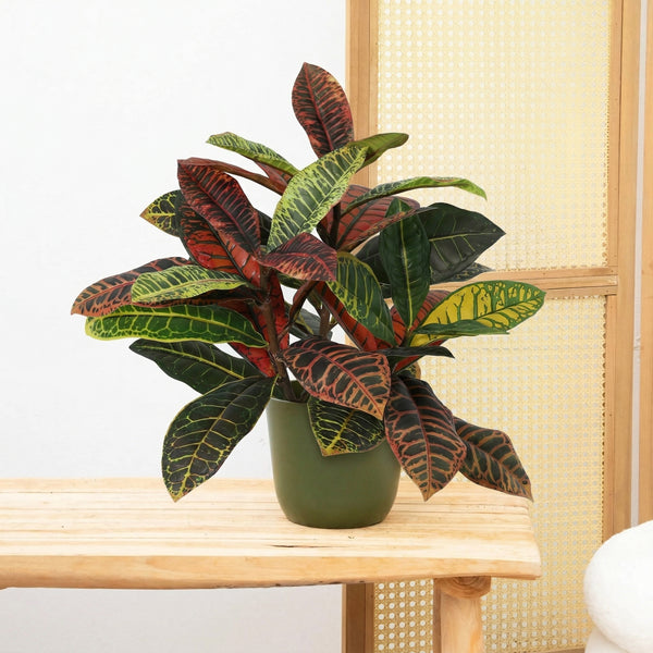 Kunst Croton codiaeum - 40cm