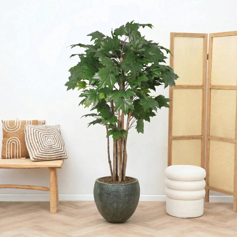 Kunstpflanze Maple tree | 150cm