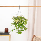 Product afbeelding 1