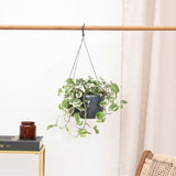Product afbeelding 1