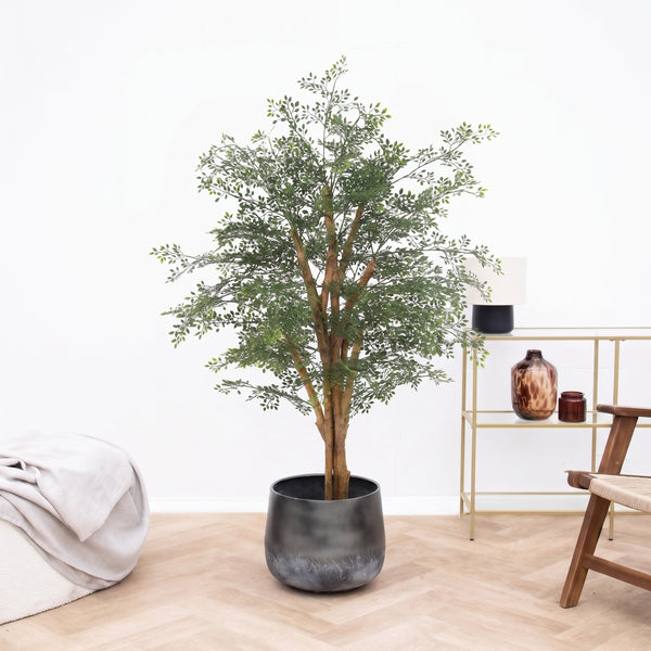 Kunstplant Cassia boom - 150 cm