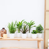 Product afbeelding 1