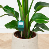 Product afbeelding 2
