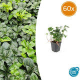 Product afbeelding 9
