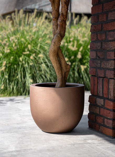 Pot grigio new egg Bronze