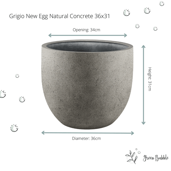 Pot grigio new egg natural concrete