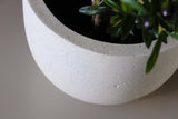 Product afbeelding 6
