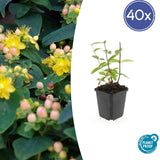 Product afbeelding 9