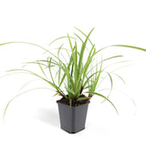 Product afbeelding 3