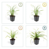 Product afbeelding 5