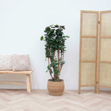 Product afbeelding 1