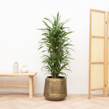 Product afbeelding 1