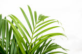 Product afbeelding 4