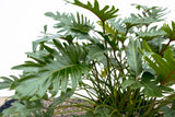Product afbeelding 3
