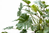 Product afbeelding 5
