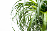 Product afbeelding 5