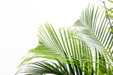 Product afbeelding 2
